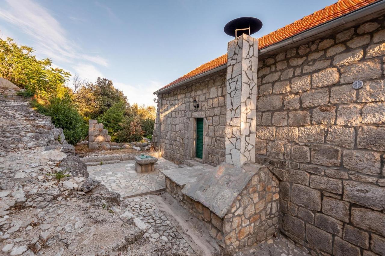 Villa Lazini Dvori Stasevica 外观 照片