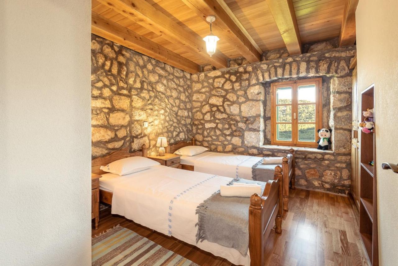 Villa Lazini Dvori Stasevica 外观 照片