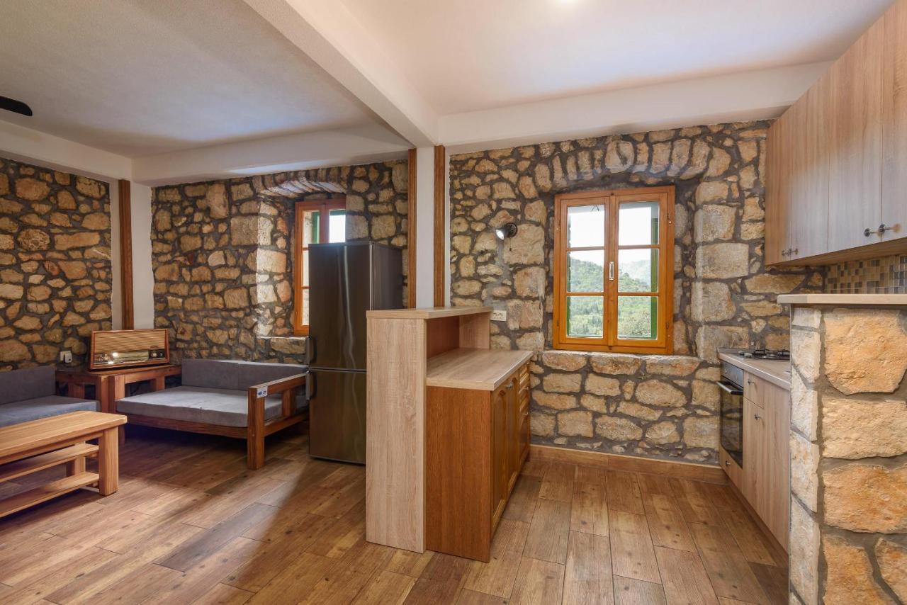 Villa Lazini Dvori Stasevica 外观 照片
